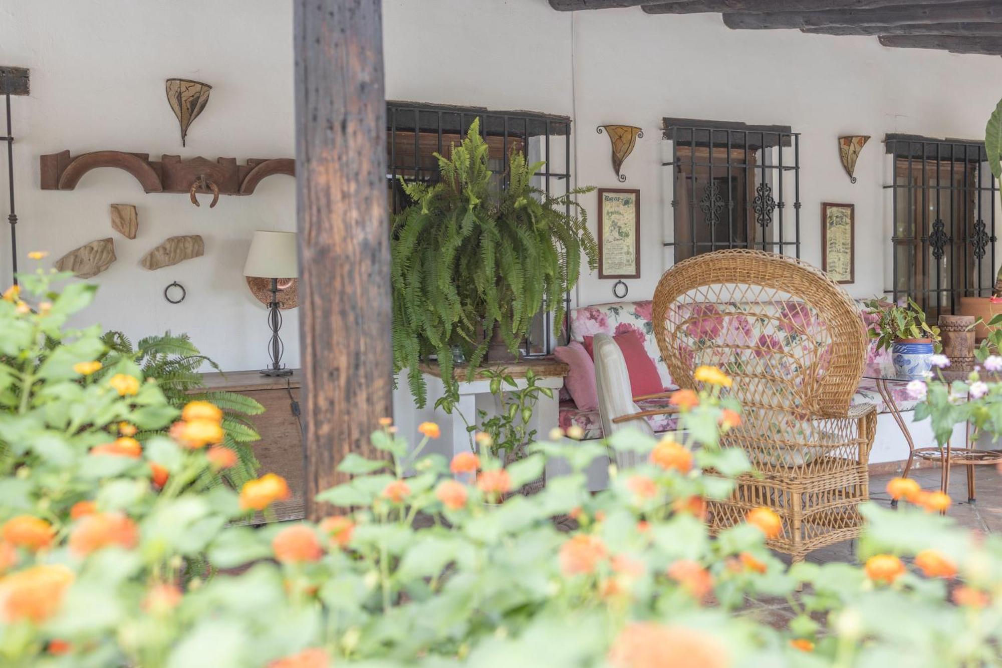 La Cuadra, Finca A Los Pies De Sierra Nevada, A 10 Minutos Del Centro, Piscina, Jardin, Barbacoa La Zubia  Luaran gambar