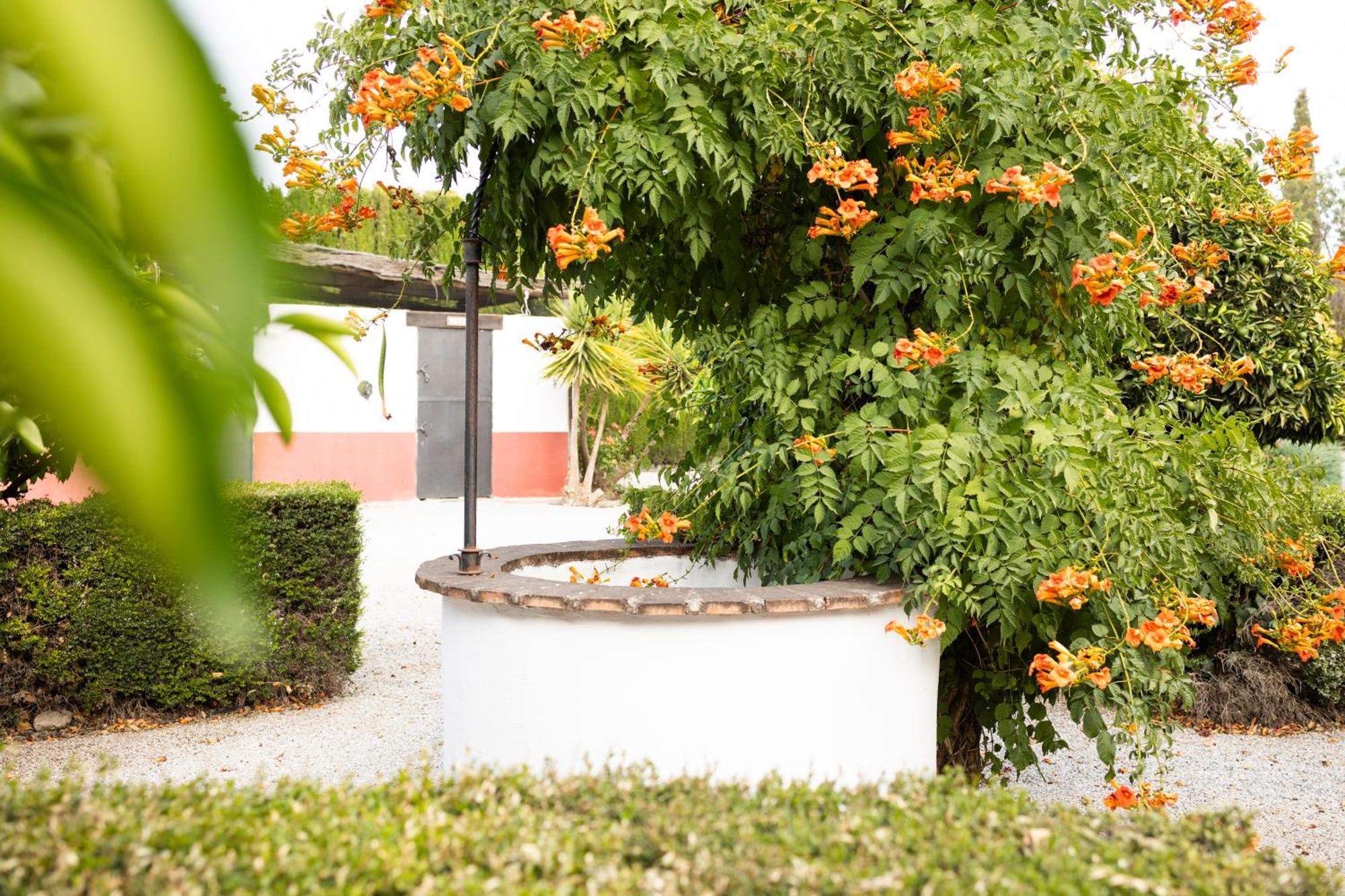 La Cuadra, Finca A Los Pies De Sierra Nevada, A 10 Minutos Del Centro, Piscina, Jardin, Barbacoa La Zubia  Luaran gambar