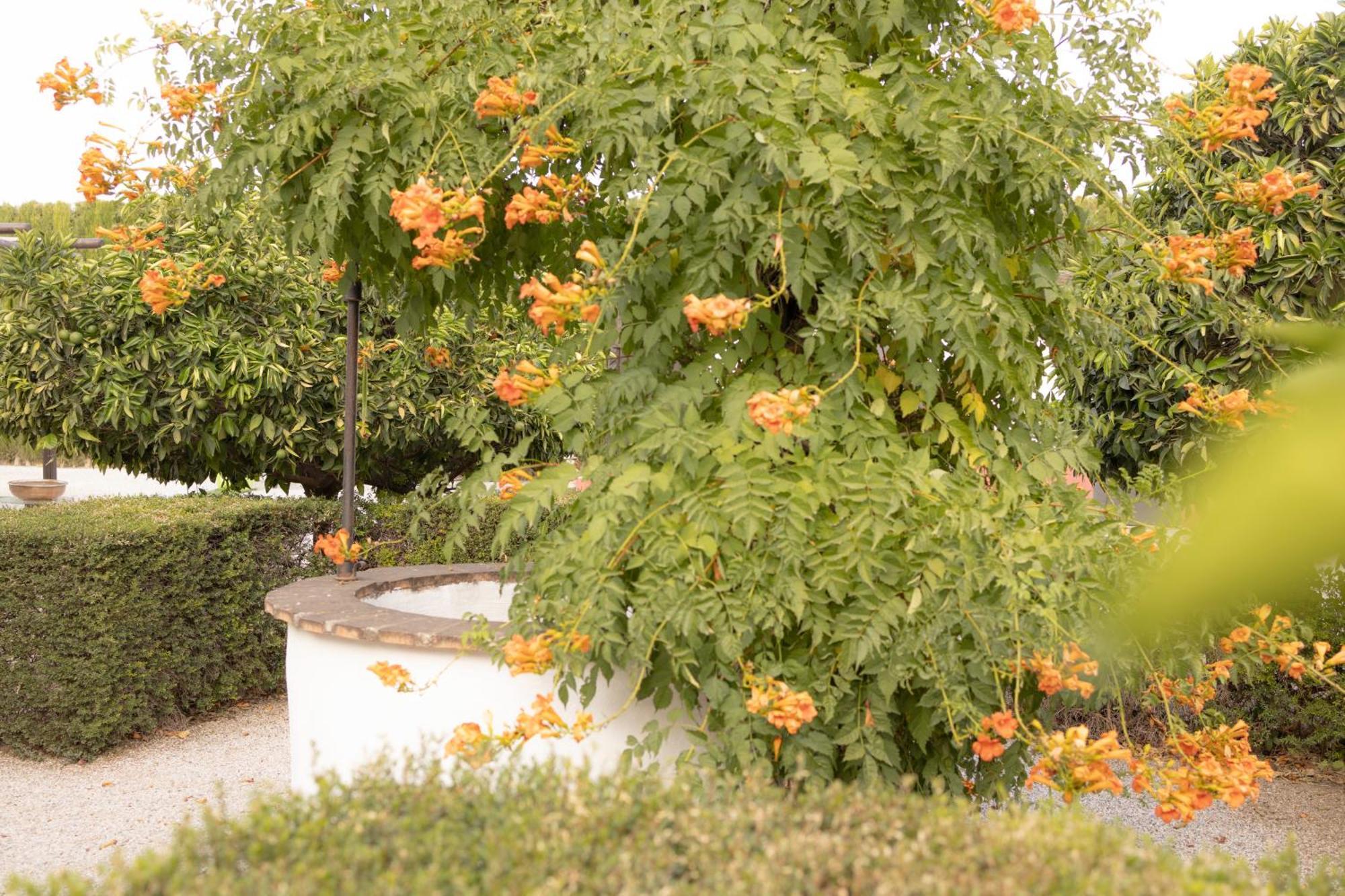 La Cuadra, Finca A Los Pies De Sierra Nevada, A 10 Minutos Del Centro, Piscina, Jardin, Barbacoa La Zubia  Luaran gambar
