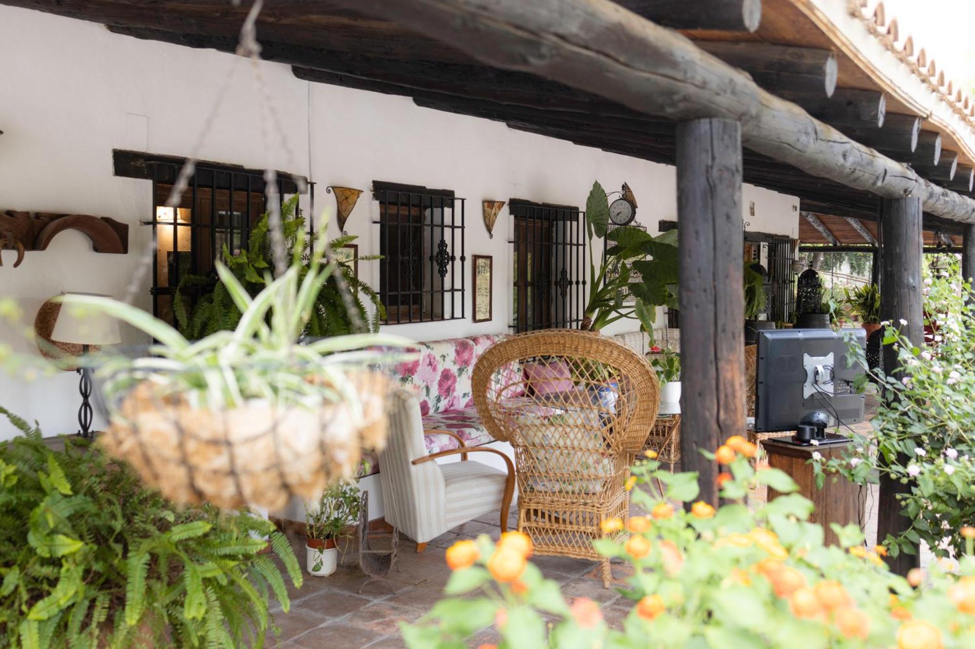 La Cuadra, Finca A Los Pies De Sierra Nevada, A 10 Minutos Del Centro, Piscina, Jardin, Barbacoa La Zubia  Luaran gambar