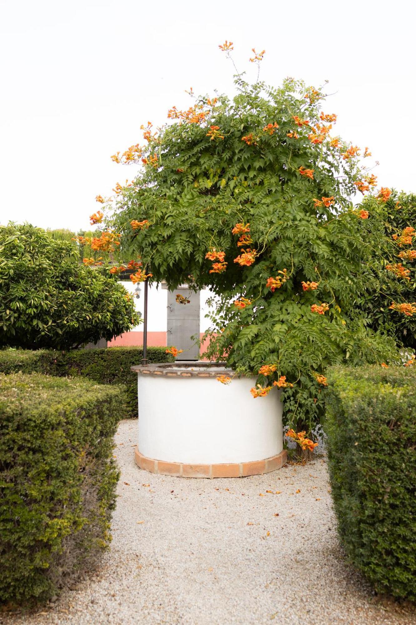 La Cuadra, Finca A Los Pies De Sierra Nevada, A 10 Minutos Del Centro, Piscina, Jardin, Barbacoa La Zubia  Luaran gambar